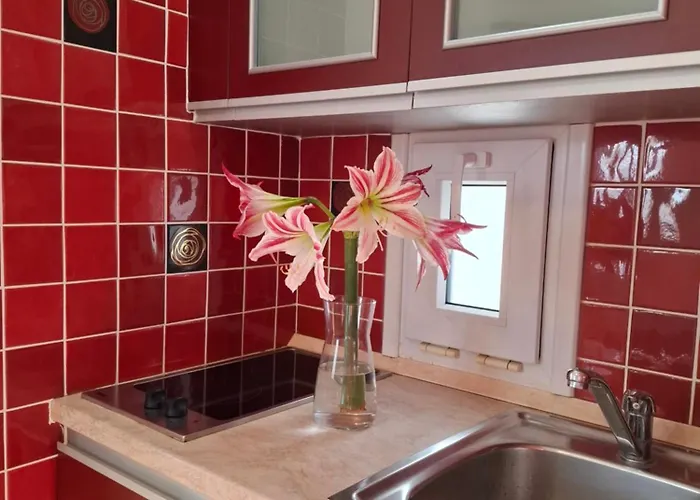 Summerfell * Айя-Анна